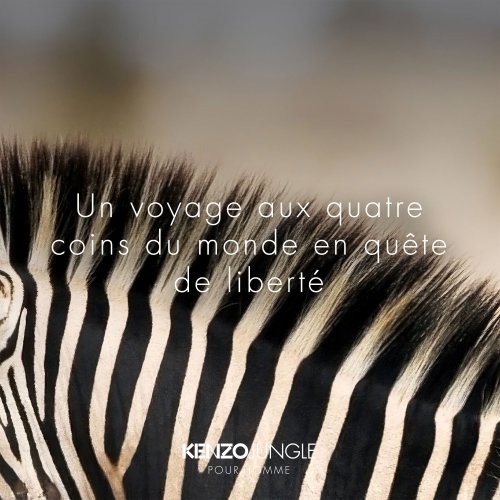 KENZO JUNGLE pour Homme - Eau de Toilette 3274872289772 KENZO JUNGLE pour Homme - Eau de Toilette 3274872289772